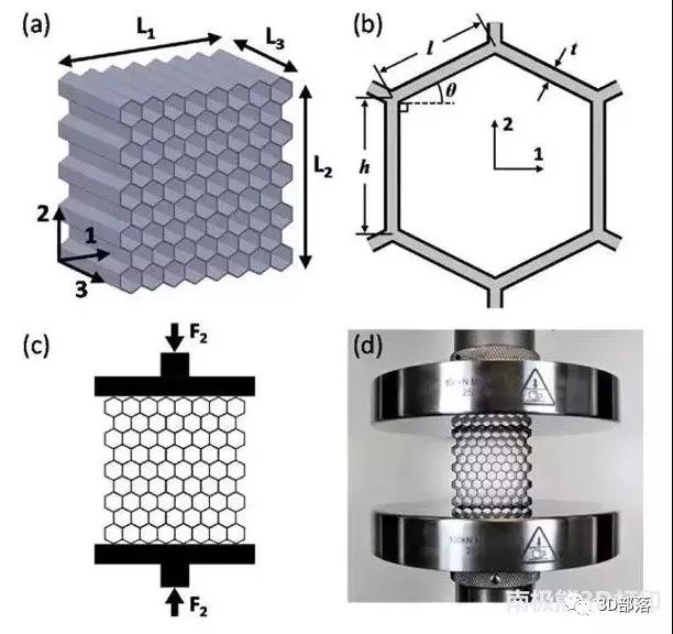 3D打印晶格结构的功能力学性能研究