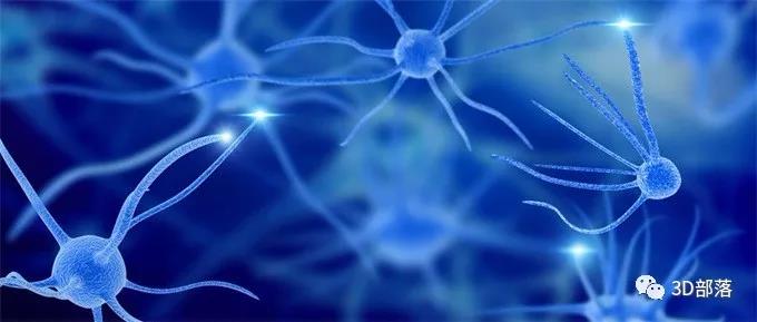 《自然医学杂志》：科学家用3D打印人造脊髓为神经“搭桥” 让瘫痪大鼠再度行走