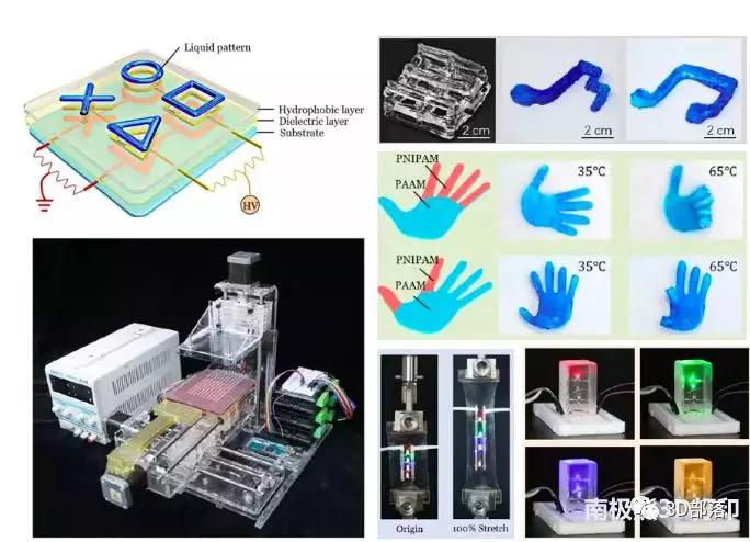 Science子刊：西安交大水凝胶3D打印新进展！
