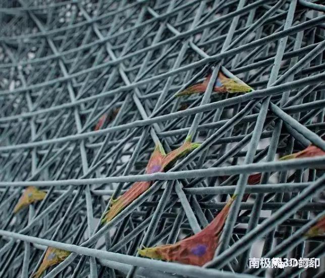 麻省理工学院实现细胞级尺度的生物材料基底3D打印