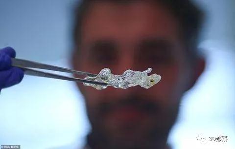 科学家用3D打印技术造出可移植到人体内透明器官