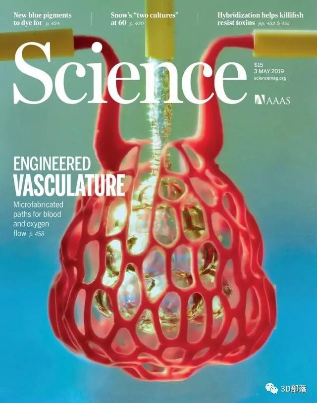 奇迹！《科学》封面：3D打印会“呼吸”的人造器官，还没有一枚硬币大