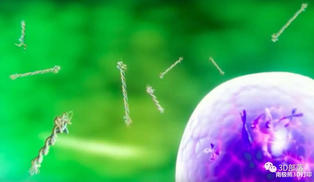 以色列公司3D生物打印再生乳房组织植入物，或将改变丰胸行业