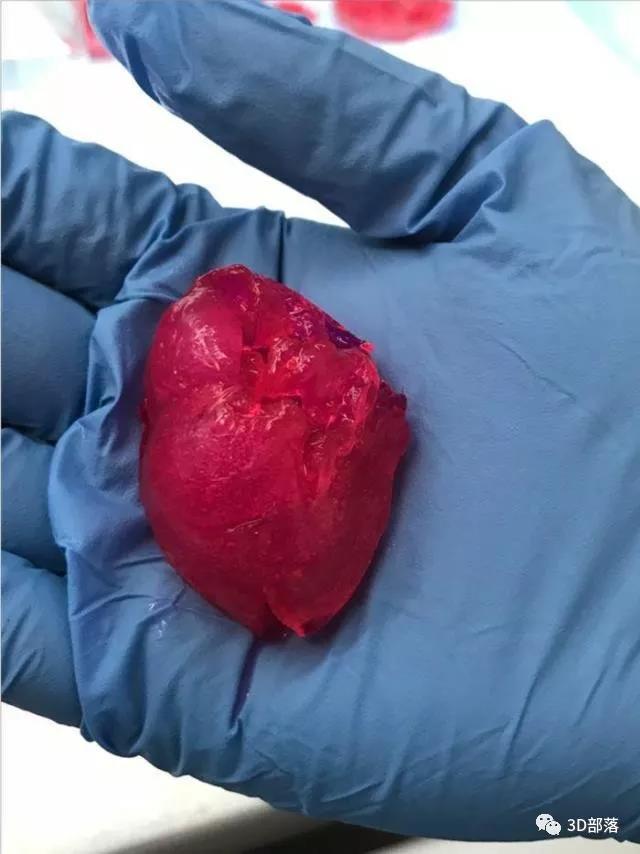 芝加哥一生物公司成功3D打印出完整微型人工心脏