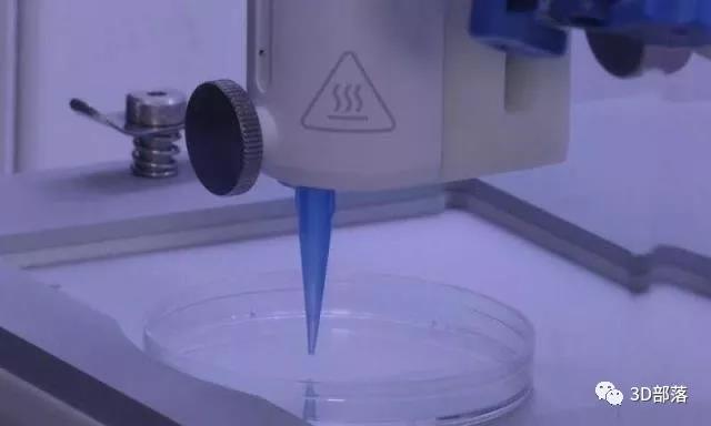 皮肤移植新突破？3D打印带血管“活皮肤”成现
