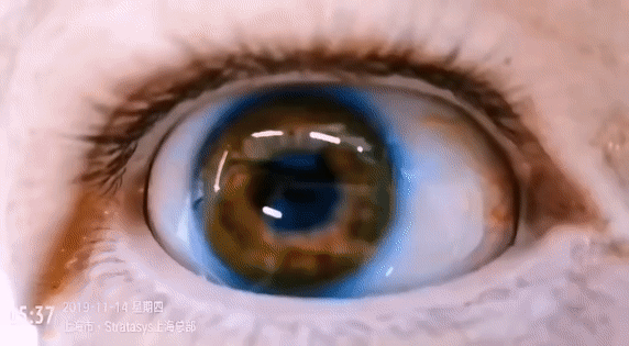 3D打印逼真眼睛瞪得我心慌
