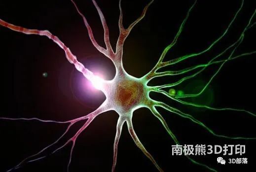 3D打印技术在神经外科的应用研究进展