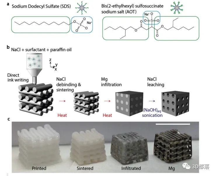 具有可控结构多孔镁支架的3D打印