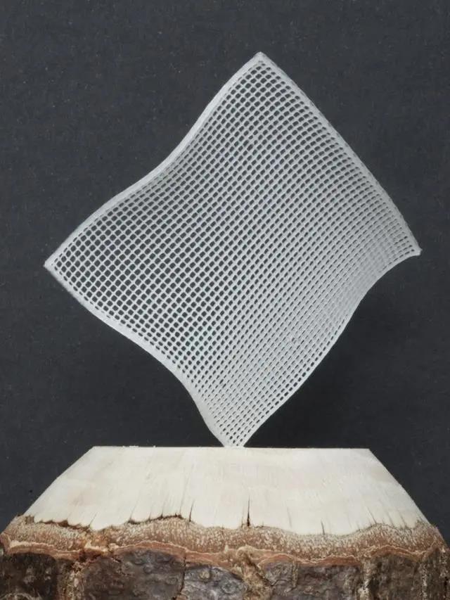 瑞士科学家打造出纤维素含量更高的热门3D打印材料