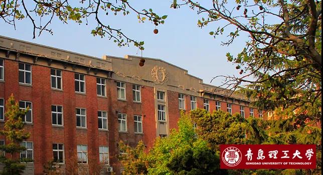 青岛理工大学“微纳尺度3D打印”专利居全球首位