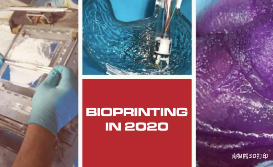 2020年10大生物3D打印技术进展，为未来的器官移植铺路