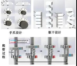 天津大学最新研发：3D打印软性机器人