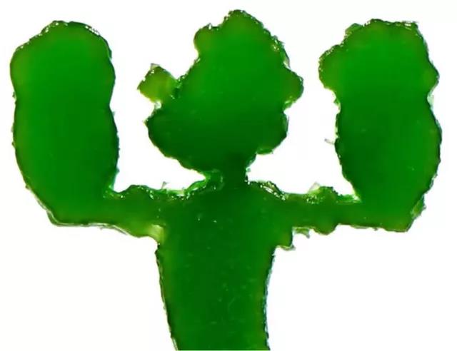 科学家在3D打印墨水中加入叶绿体 使材料在光照下变得更坚固
