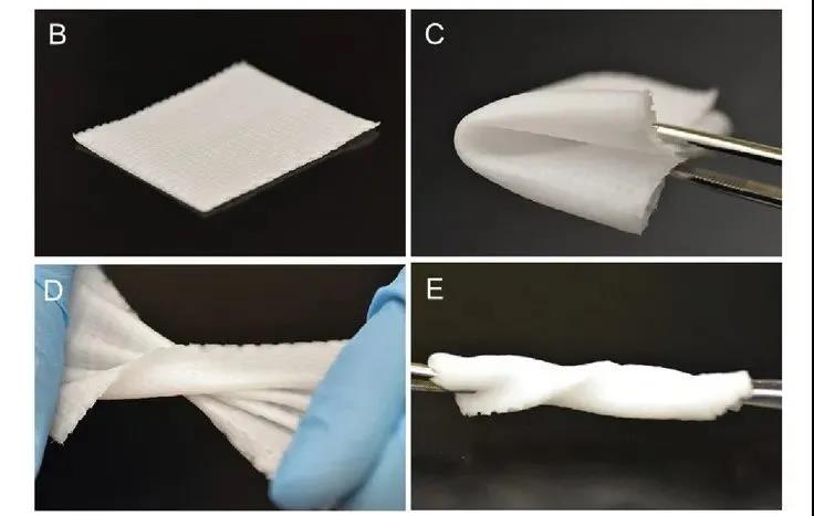 研究人员开发出3D打印网状生物材料支架可用于软组织修复的炎症调节