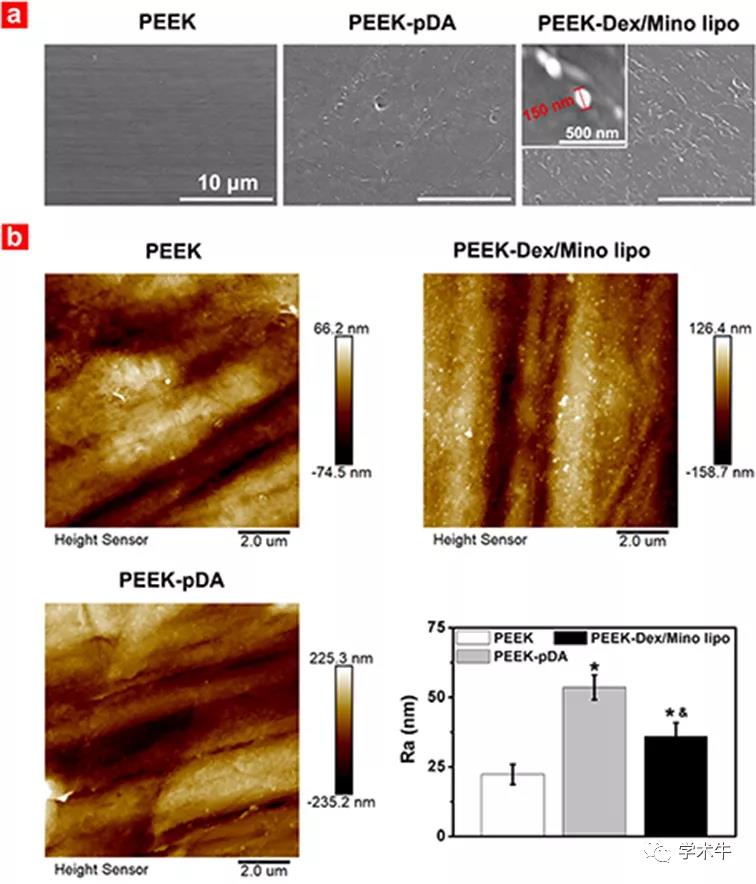 生物材料：具有三重功能的PEEK表面改性
