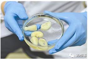 【干货分享】生物打印支架及细胞打印详解