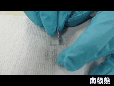 11.gif 11.gif