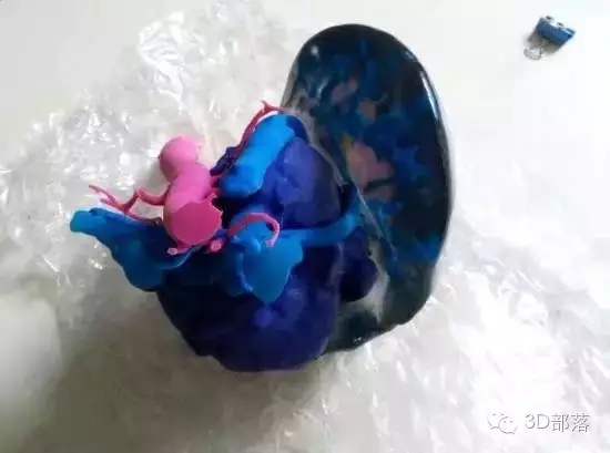 6.webp.jpg