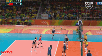 11.gif 11.gif