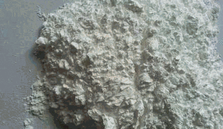 5.gif 5.gif