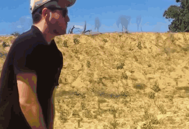 5.gif 5.gif